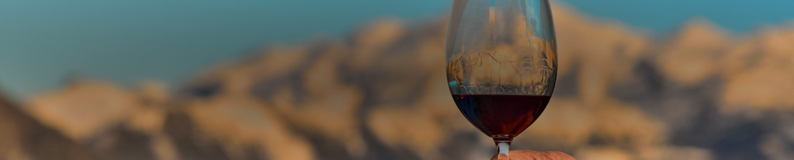 Maipo Valley