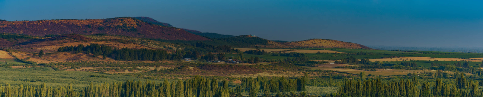 Maule Valley