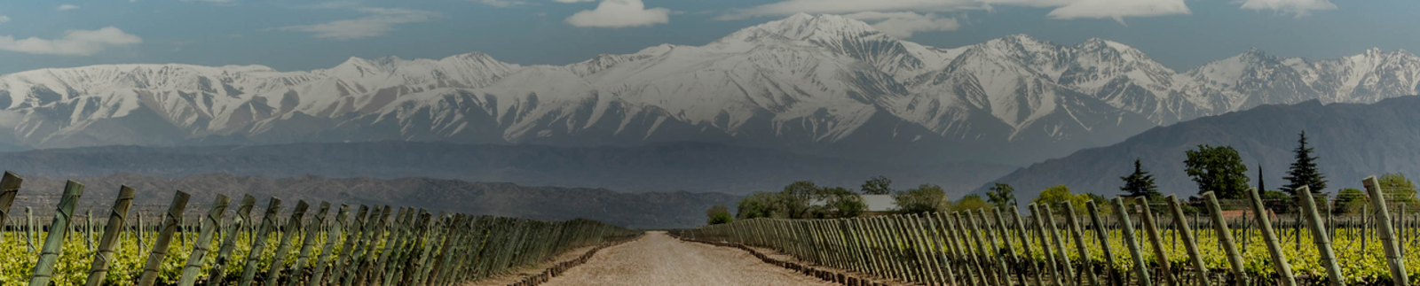 Mendoza