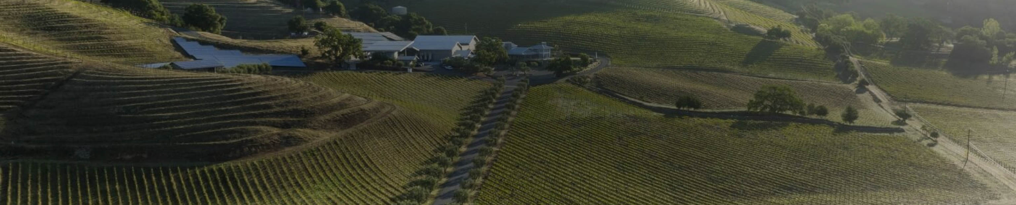 Shafer Vineyards - Explore The Wines