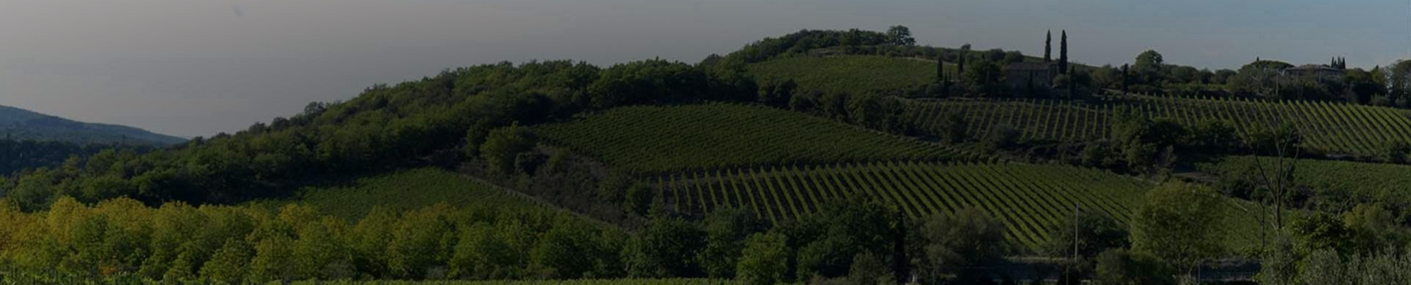 Valdicava