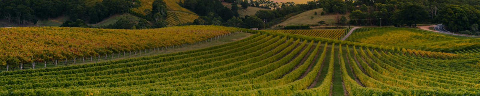 Bordeaux Futures 2023