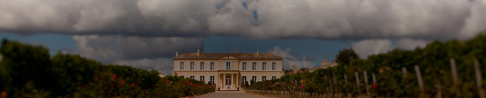 Chateau Branaire Ducru Collection