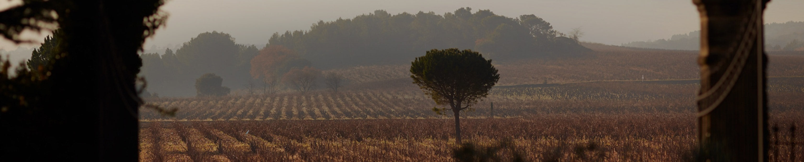 Chateau de Beaucastel Collection