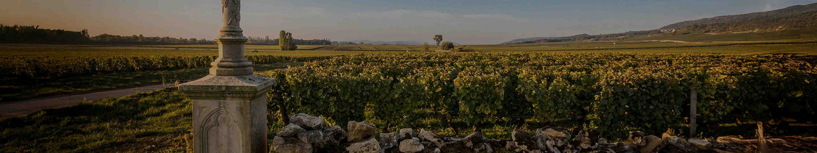 Mikulski Wines