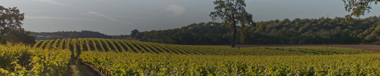 Hope Family Wine Collection