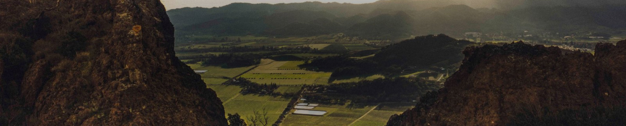 Stag's Leap Wine Cellars Collection