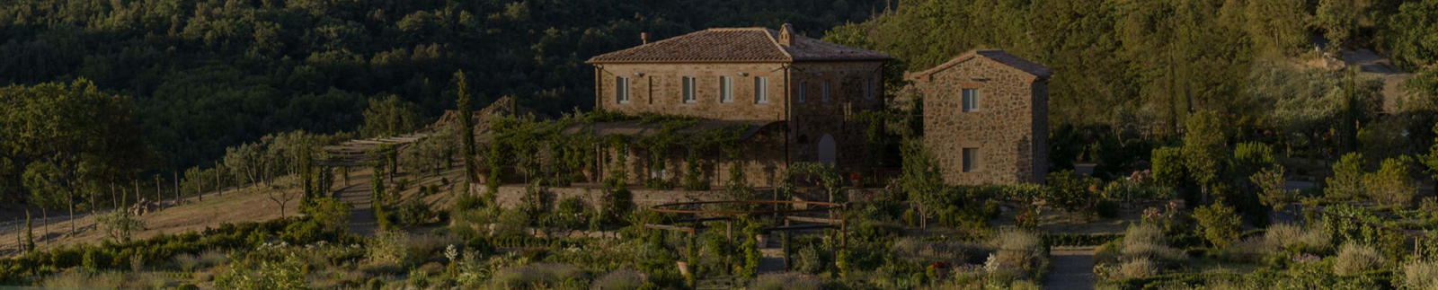 Tenuta Luce