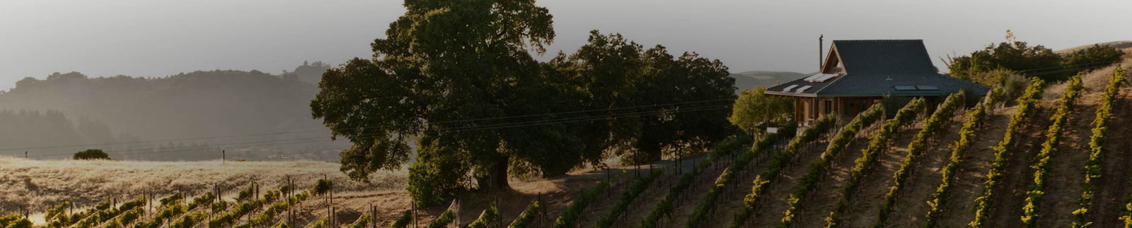 Ridge Vineyards - Exceptional Wines