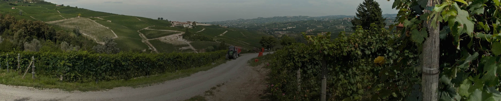 Borgogno - Winemakers in Barolo