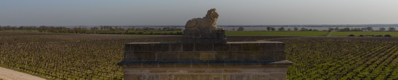 Château Léoville-Las Cases Collection