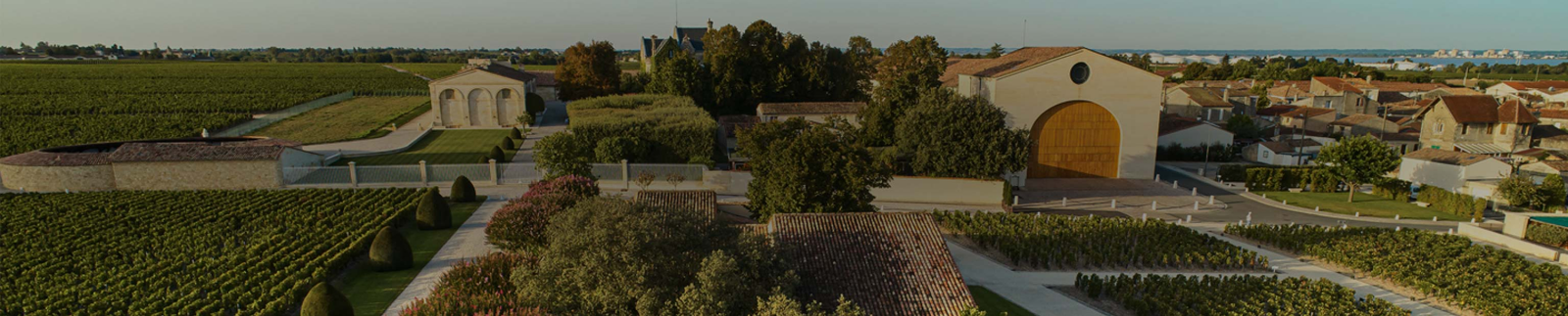Chateau Mouton Rothschild Collection