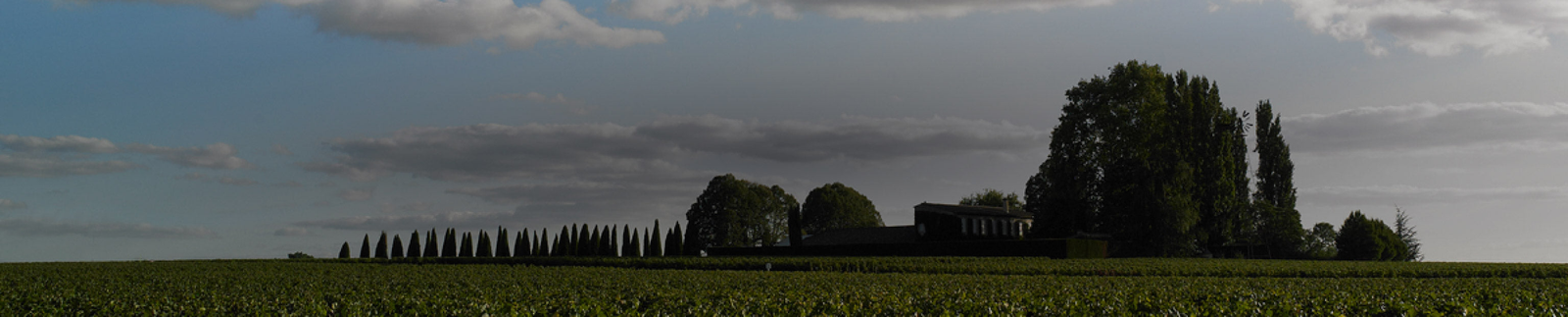 Château Trotanoy Collection
