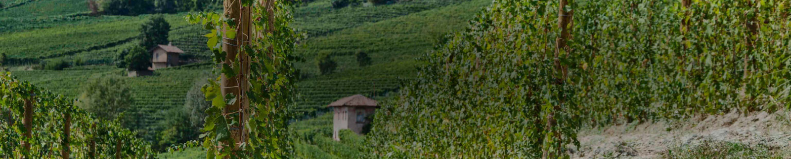 Roberto Voerzio - Wine Collection