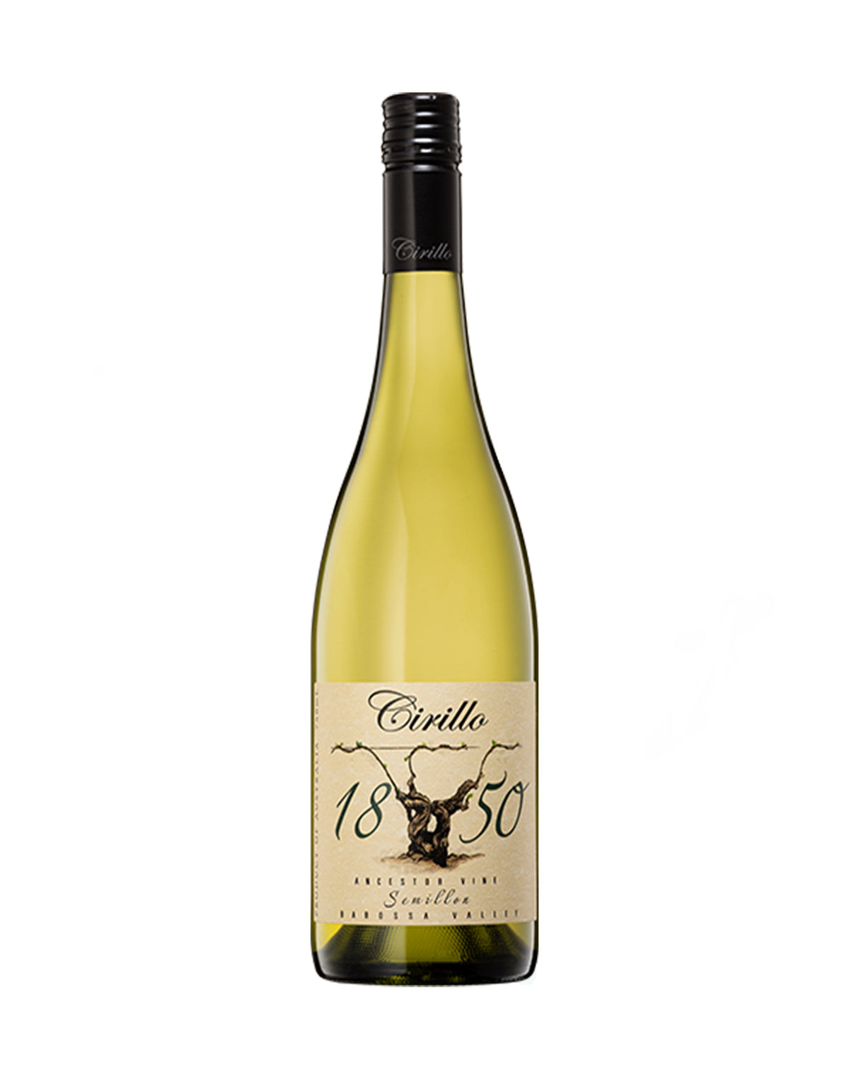 Cirillo 'Ancestor Vine 1850' Semillon 2019 - ZYN THE WINE MARKET LTD.