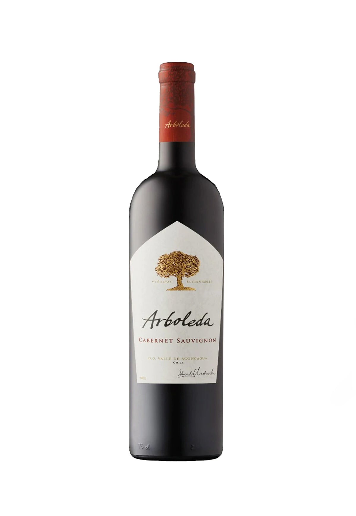 Arboleda Cabernet Sauvignon 2019 - ZYN THE WINE MARKET LTD.