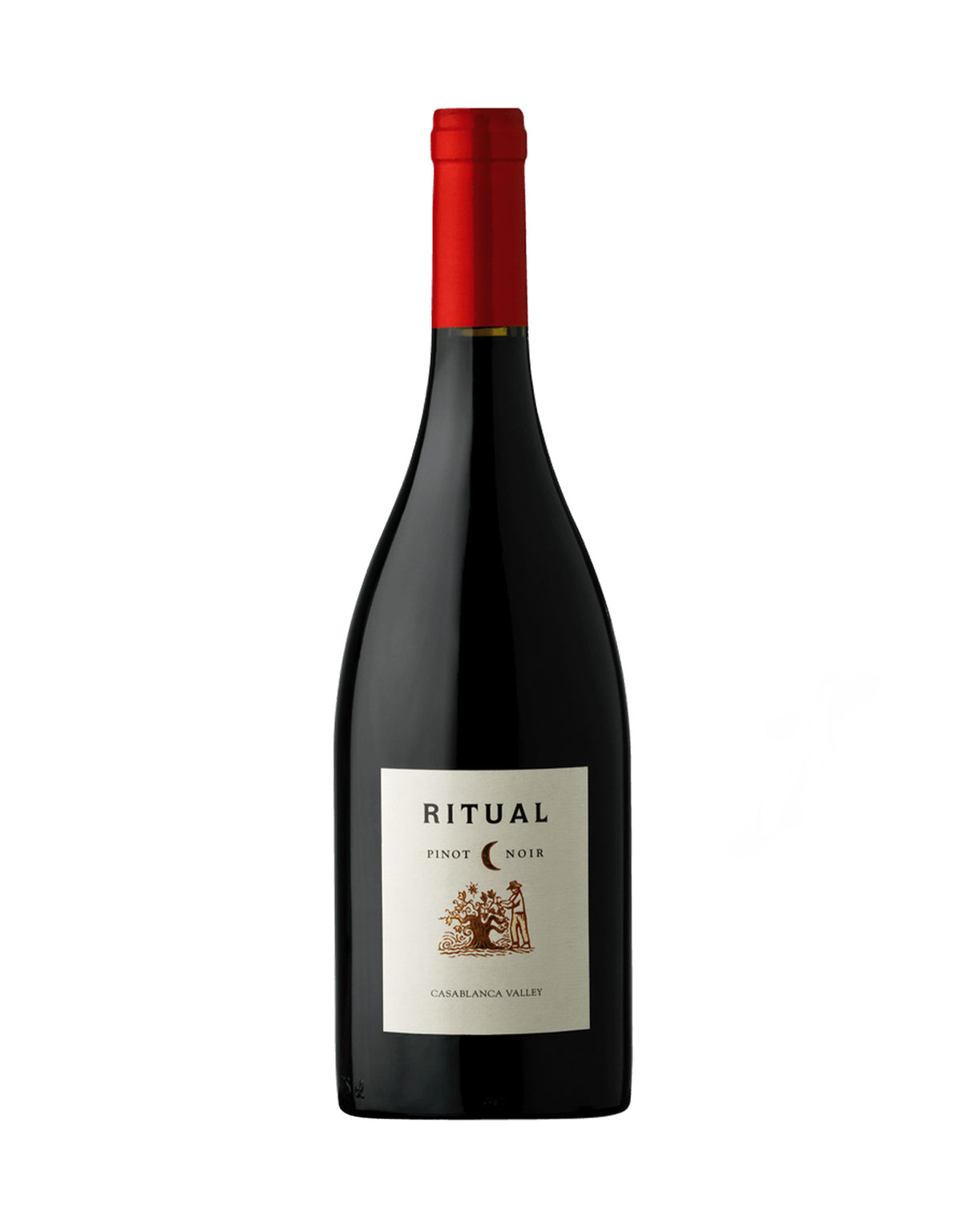 Ritual Pinot Noir Casablanca Valley 2020 - ZYN THE WINE MARKET LTD.