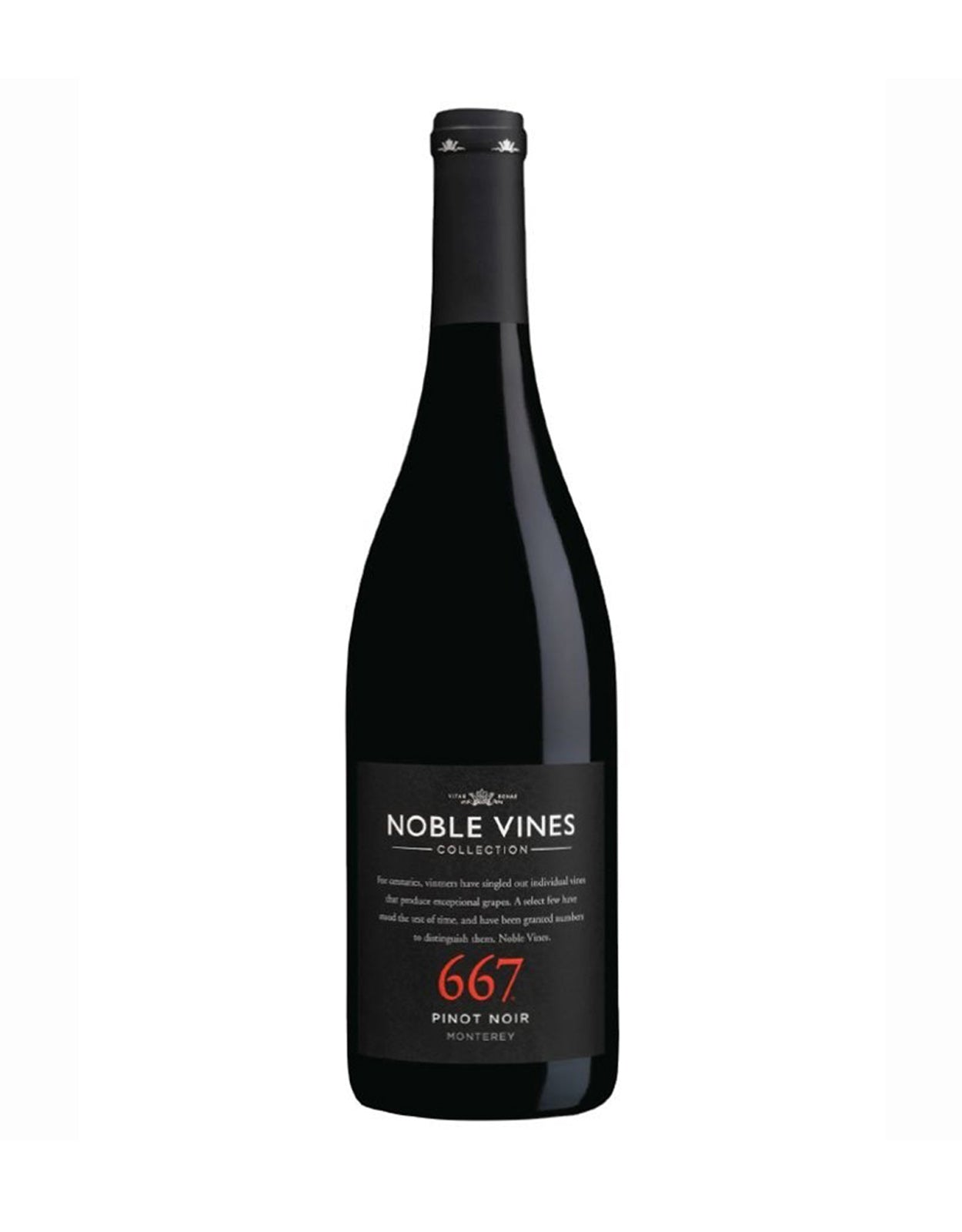 667 Pinot Noir 2020