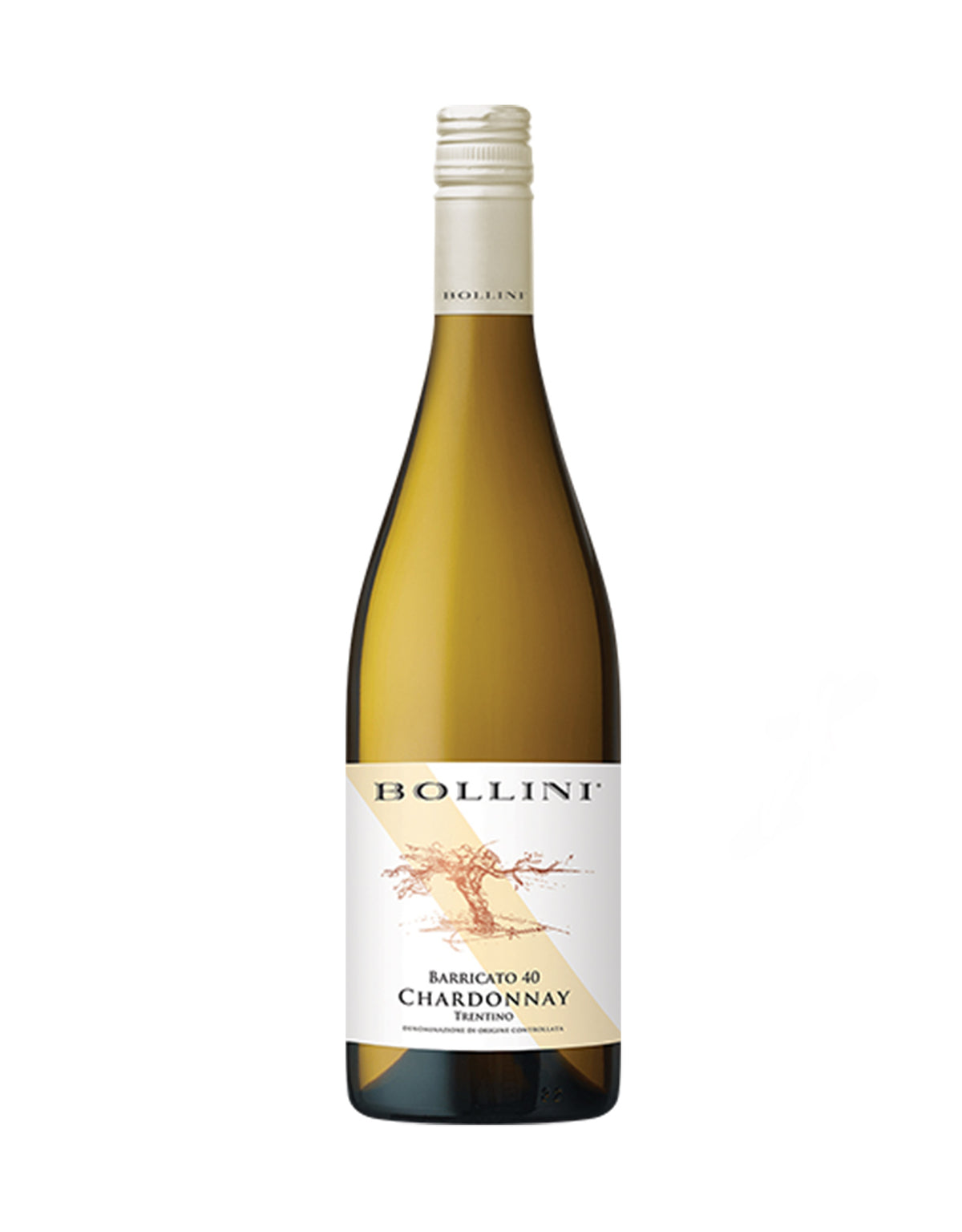 Bollini Chardonnay Barricato 40 2022 - ZYN THE WINE MARKET LTD.