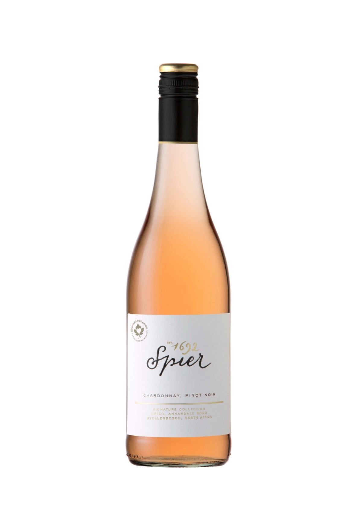 Spier Rose 2023 - ZYN THE WINE MARKET LTD.