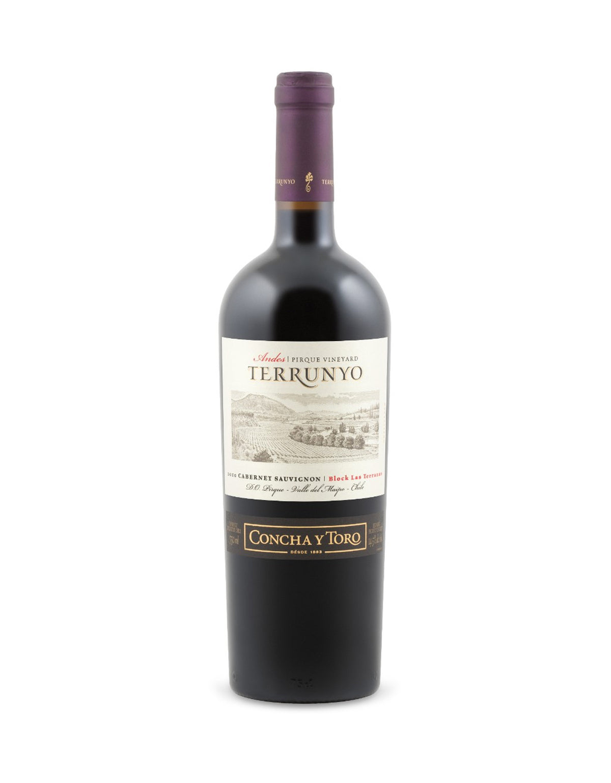 Terrunyo Cabernet Sauvignon - ZYN THE WINE MARKET LTD.