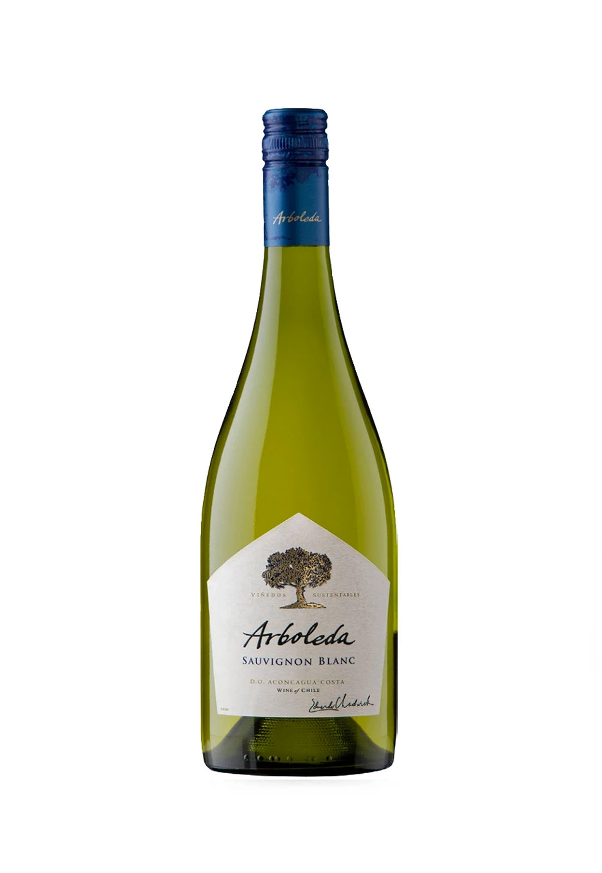 Arboleda Sauvignon Blanc 2021 - ZYN THE WINE MARKET LTD.