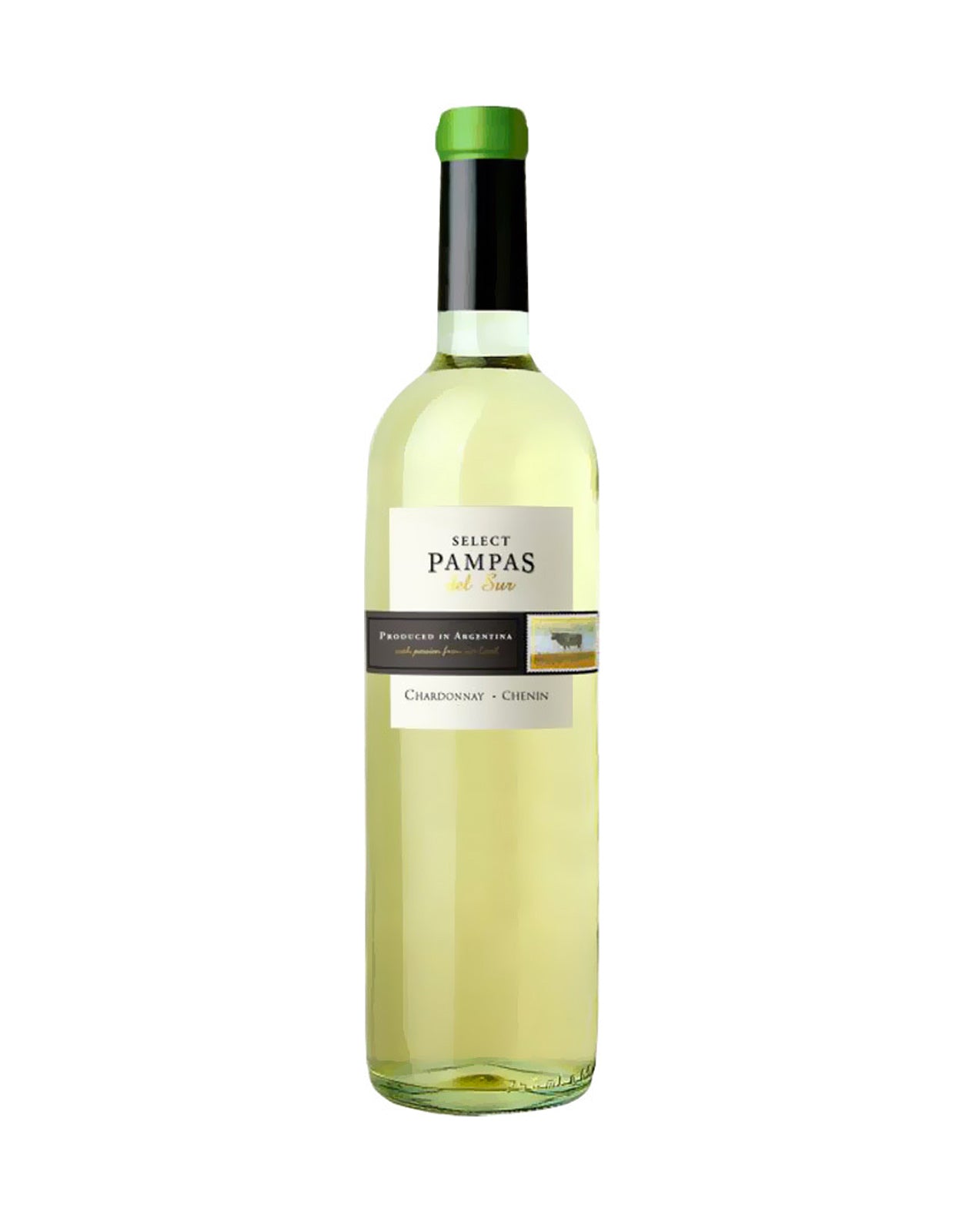 Pampas Chardonnay - Chenin