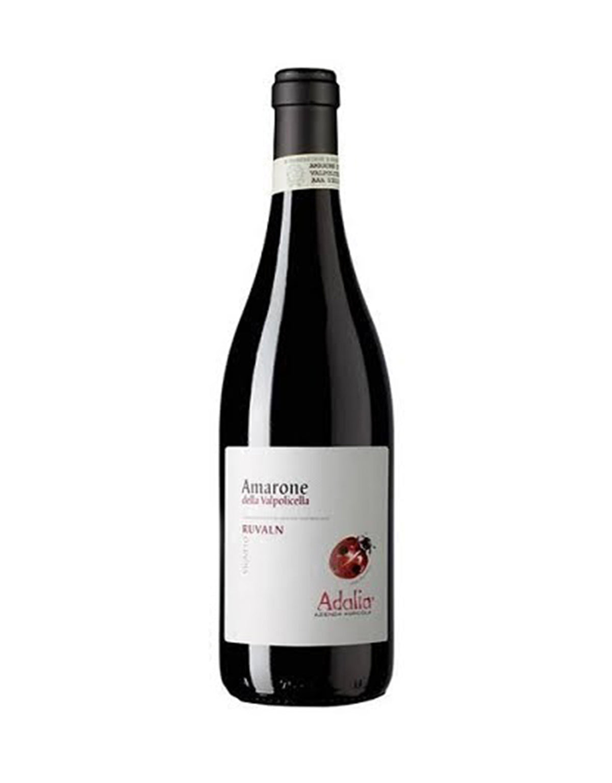 Adalia Amarone della Valpolicella 2016 - ZYN THE WINE MARKET LTD.