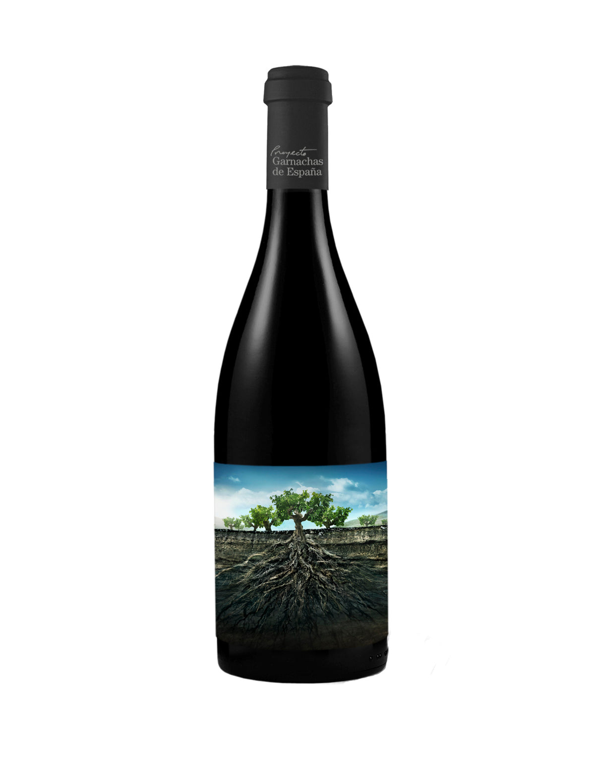 Vintae Proyecto Garnachas de Espana Salvaje del Moncayo 2019 - ZYN THE WINE MARKET LTD.