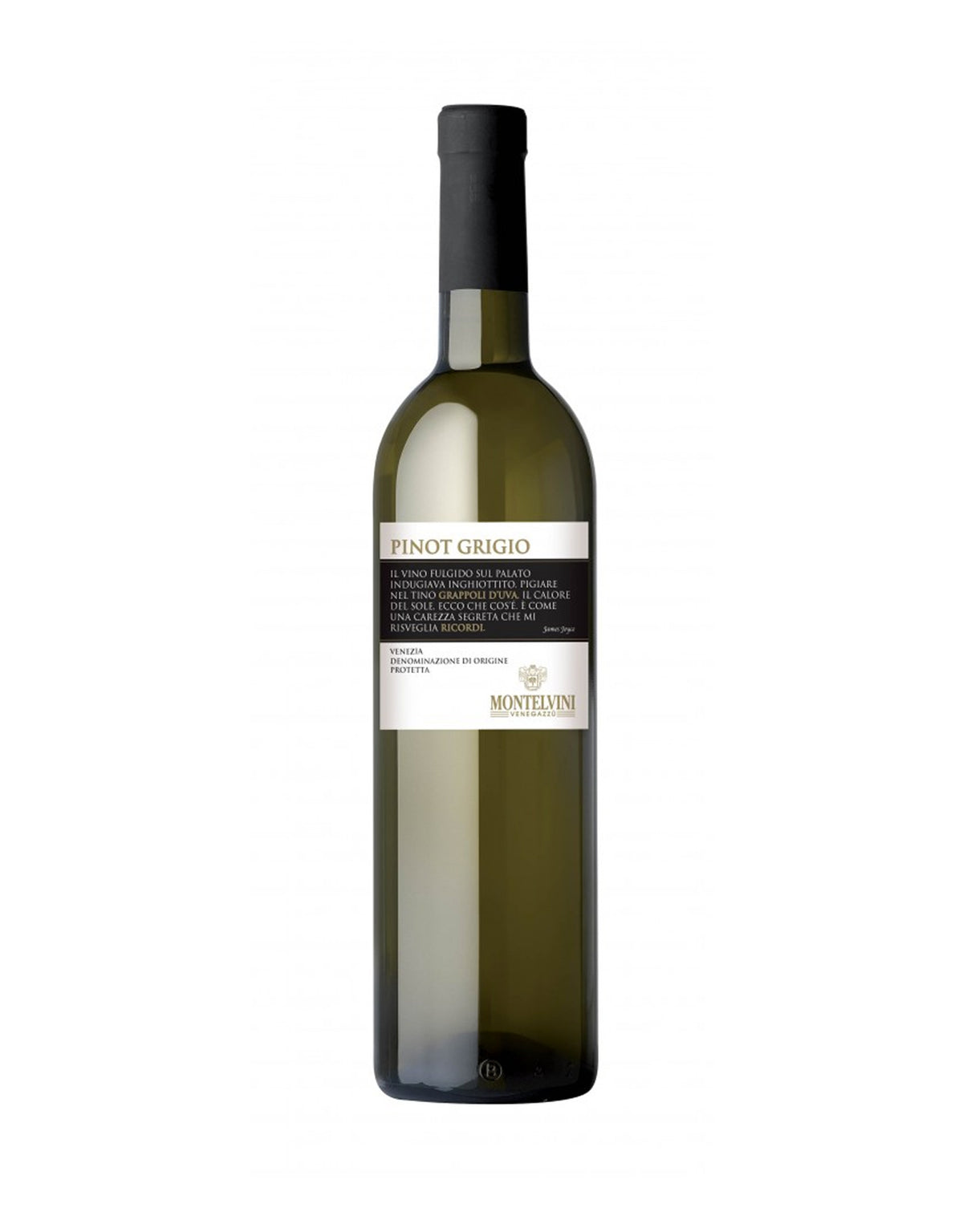 Montelvini Pinot Grigio 2023 - ZYN THE WINE MARKET LTD.