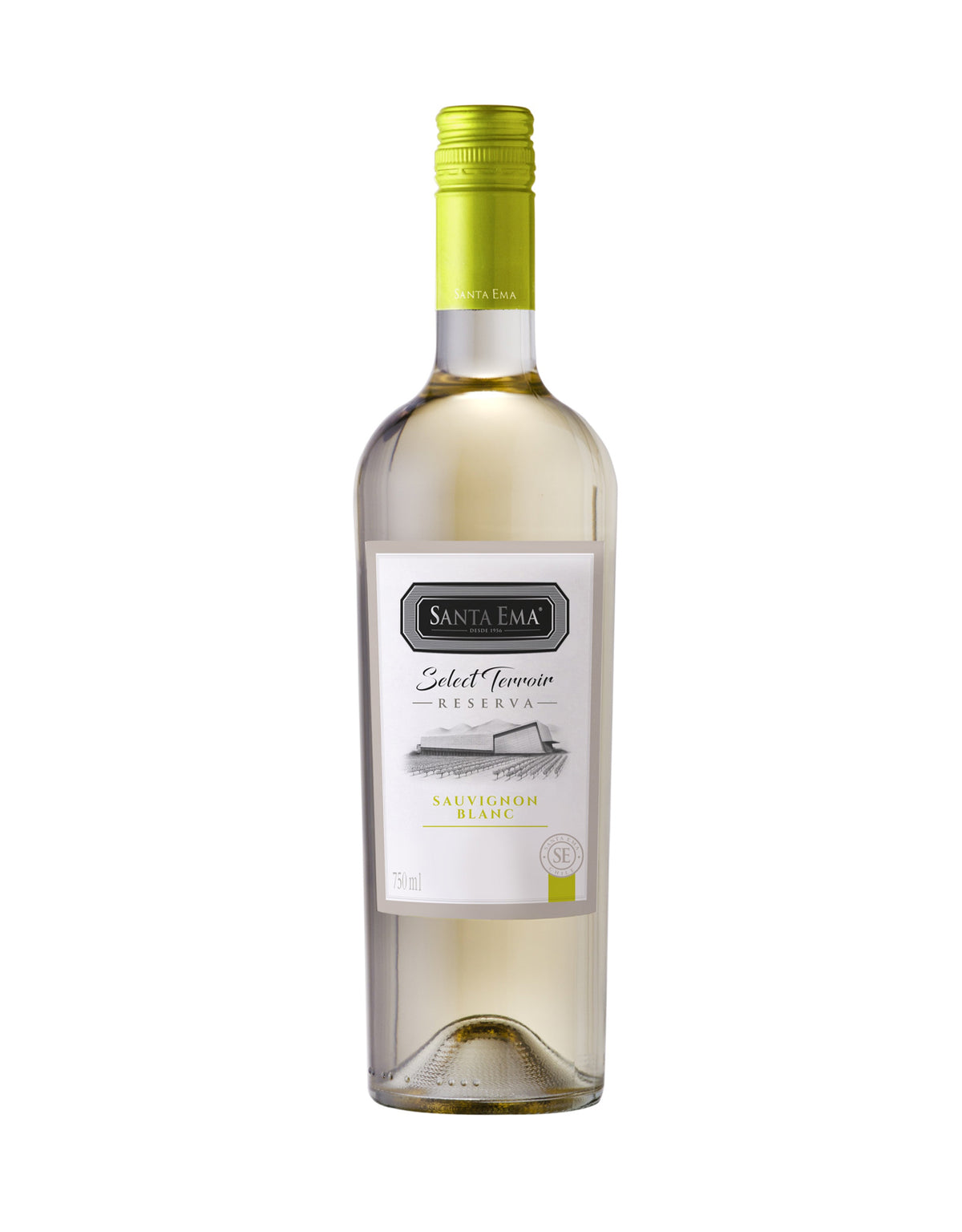 Santa Ema Sauvignon Blanc Select Terroir Reserva 2020 - ZYN THE WINE MARKET LTD.