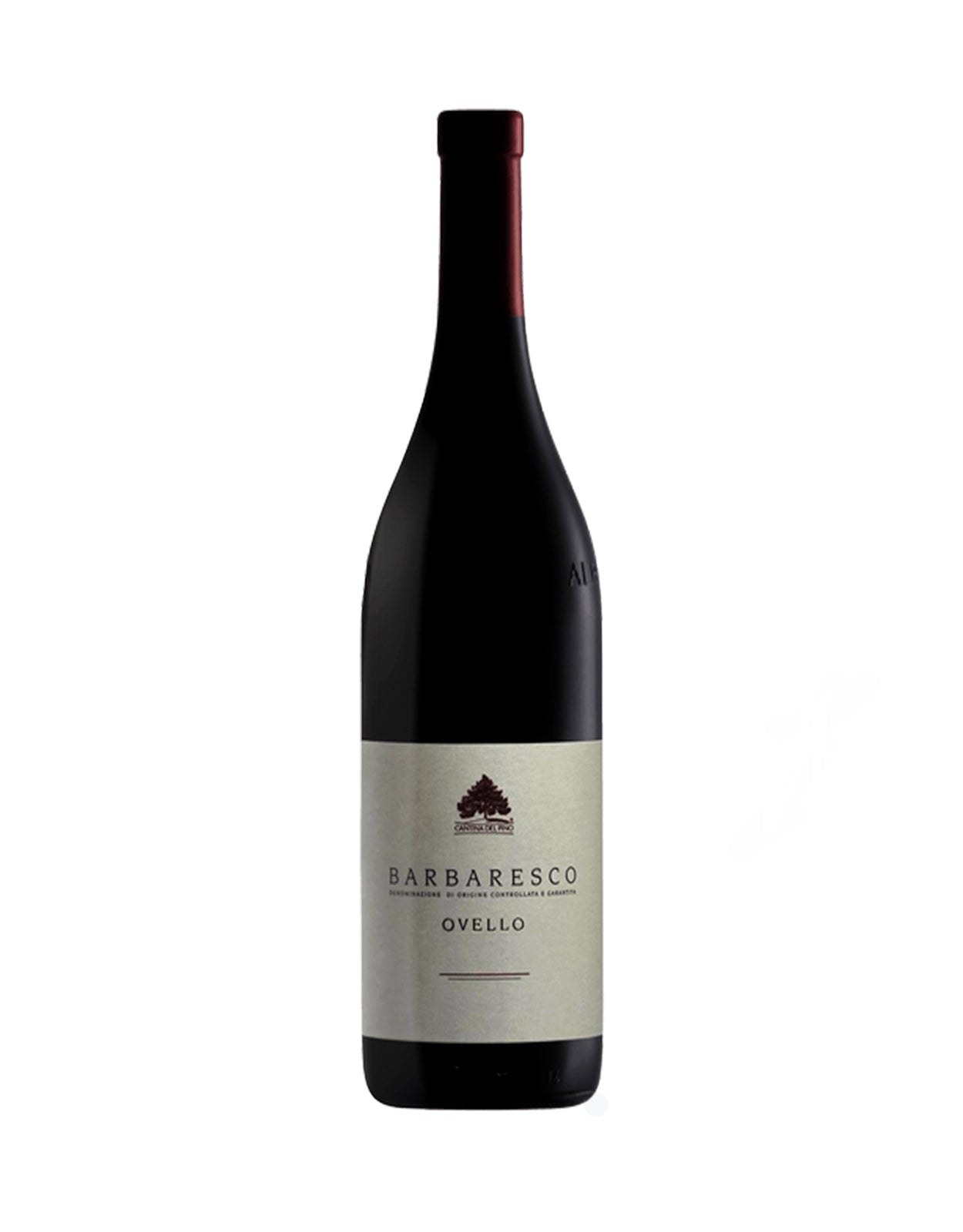 Cantina del Pino Barbaresco 'Ovello' 2019 - 1.5 Litre Bottle