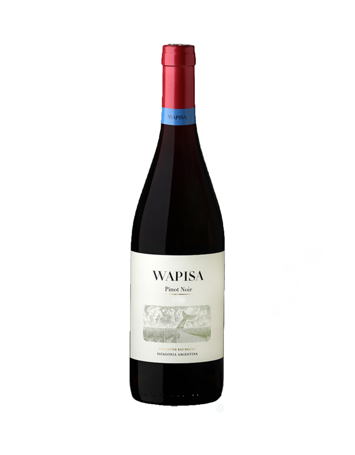 Wapisa Pinot Noir 2020 - ZYN THE WINE MARKET LTD.