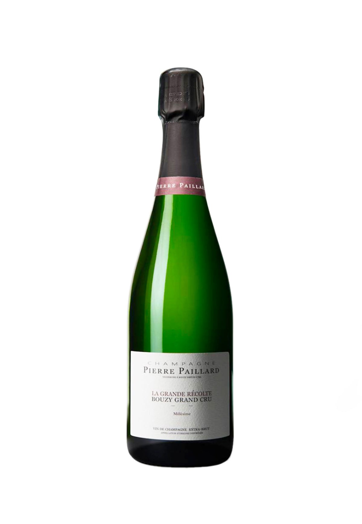 Pierre Paillard La Grande Recolte Bouzy Grand Cru 2012 - ZYN THE WINE MARKET LTD.
