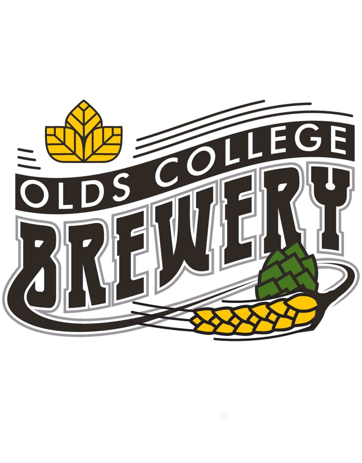 Olds College Brewery Golden Ale Summer Mix-Pack 473 ml - 4 Cans