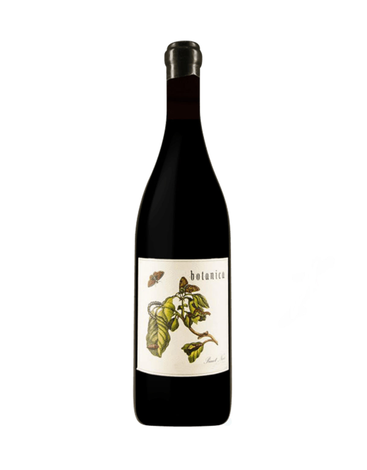 Antica Terra Pinot Noir 'Botanica' 2021