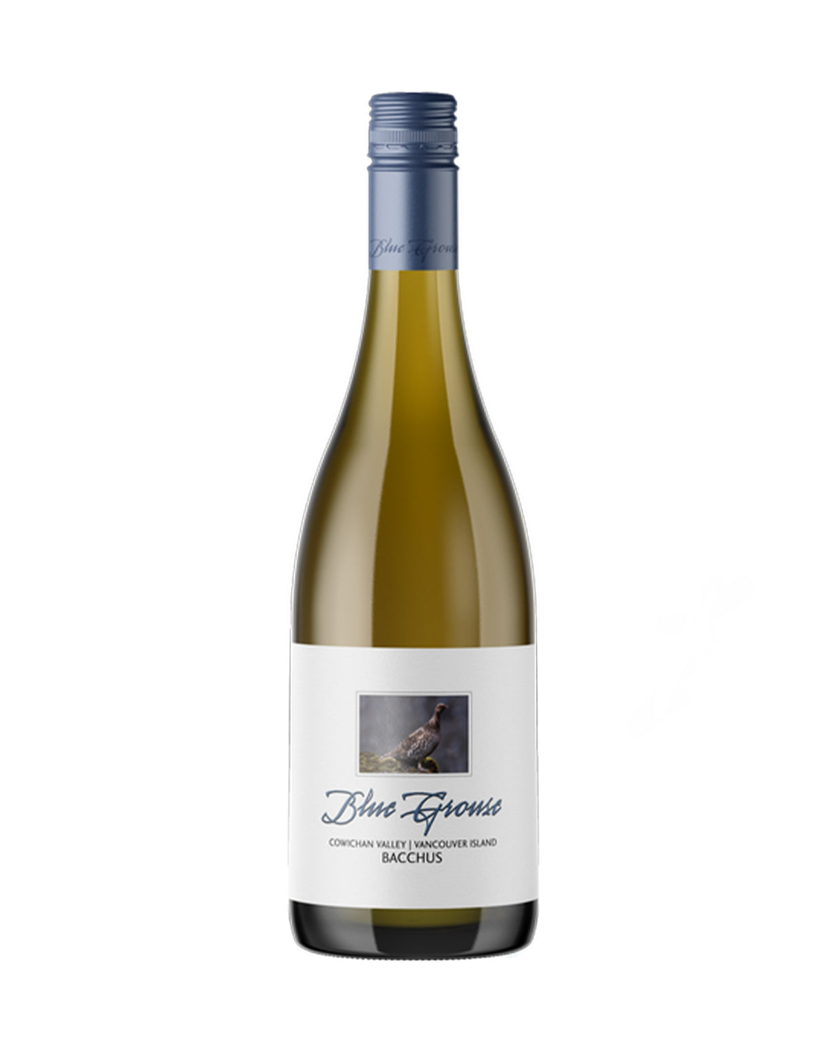 Blue Grouse Chardonnay 2023