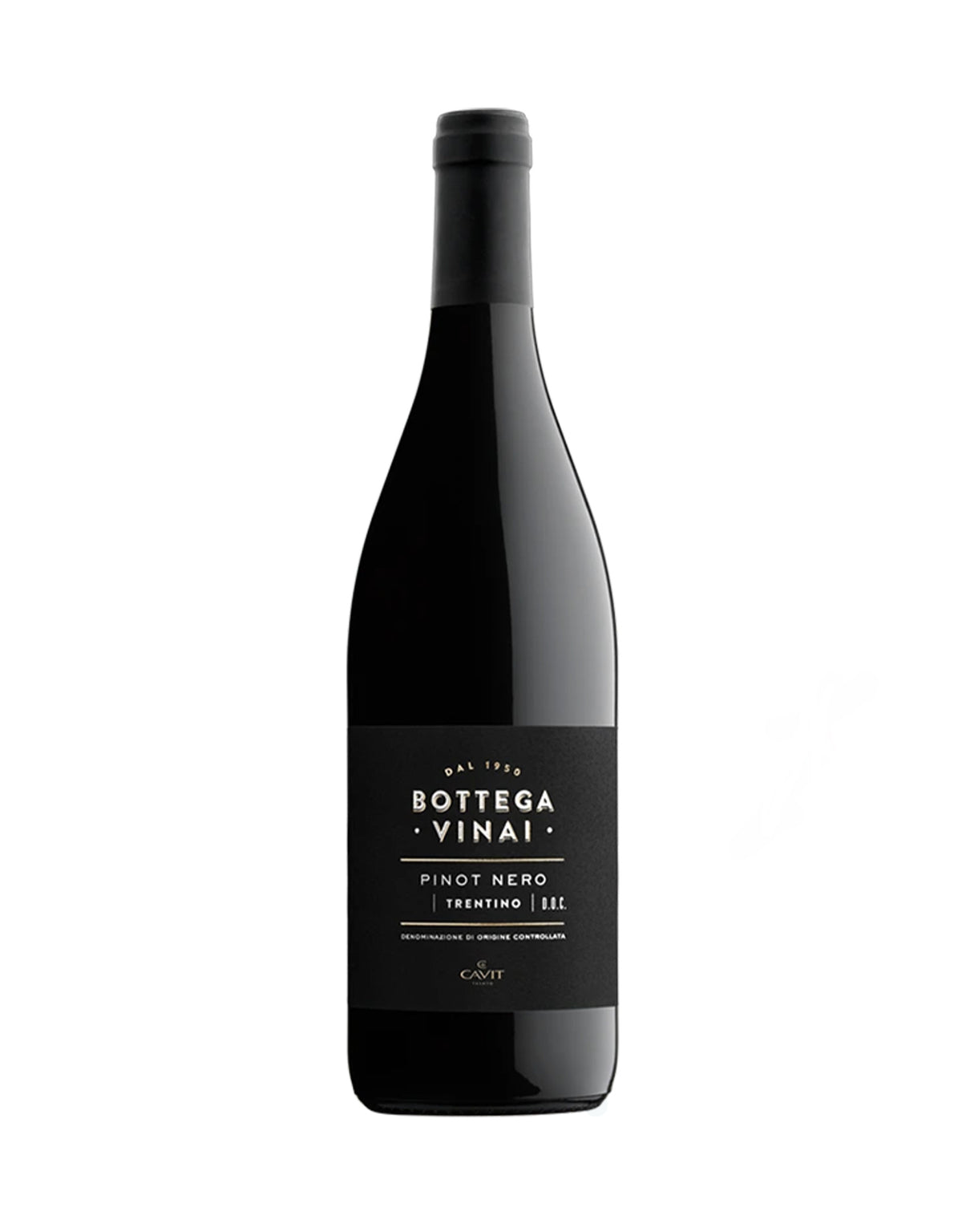 Bottega Vinai Pinot Nero 2023