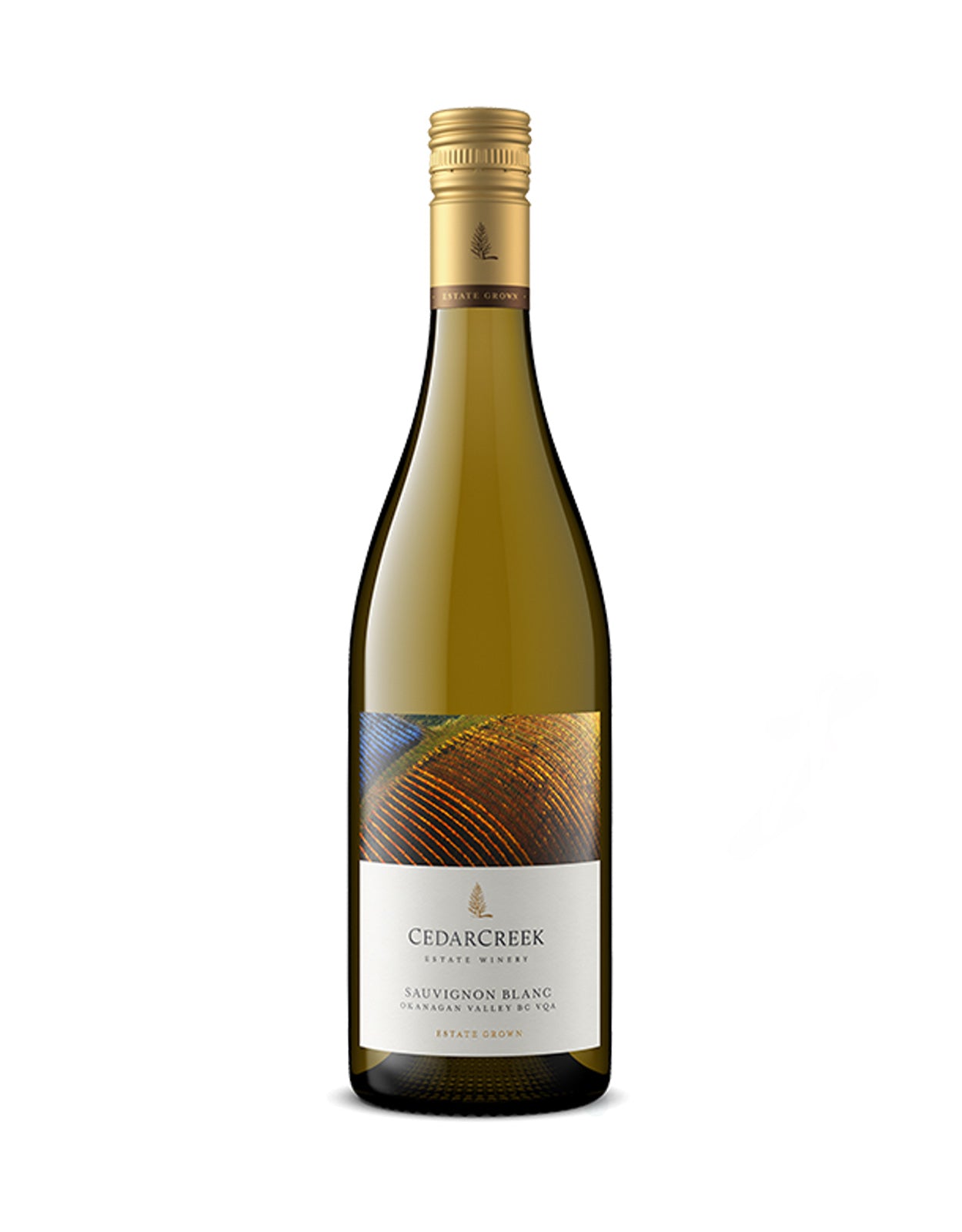 Cedar Creek Sauvignon Blanc 2021