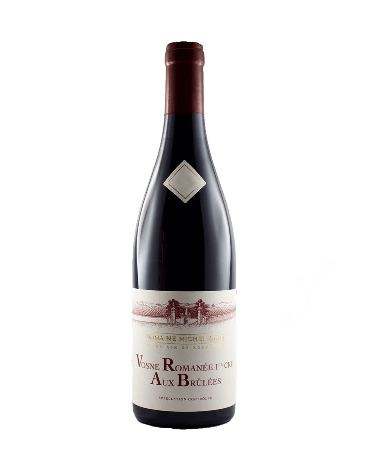 Domaine Michel Gros Vosne Romanee 'Aux Brulees' Premier Cru 2022