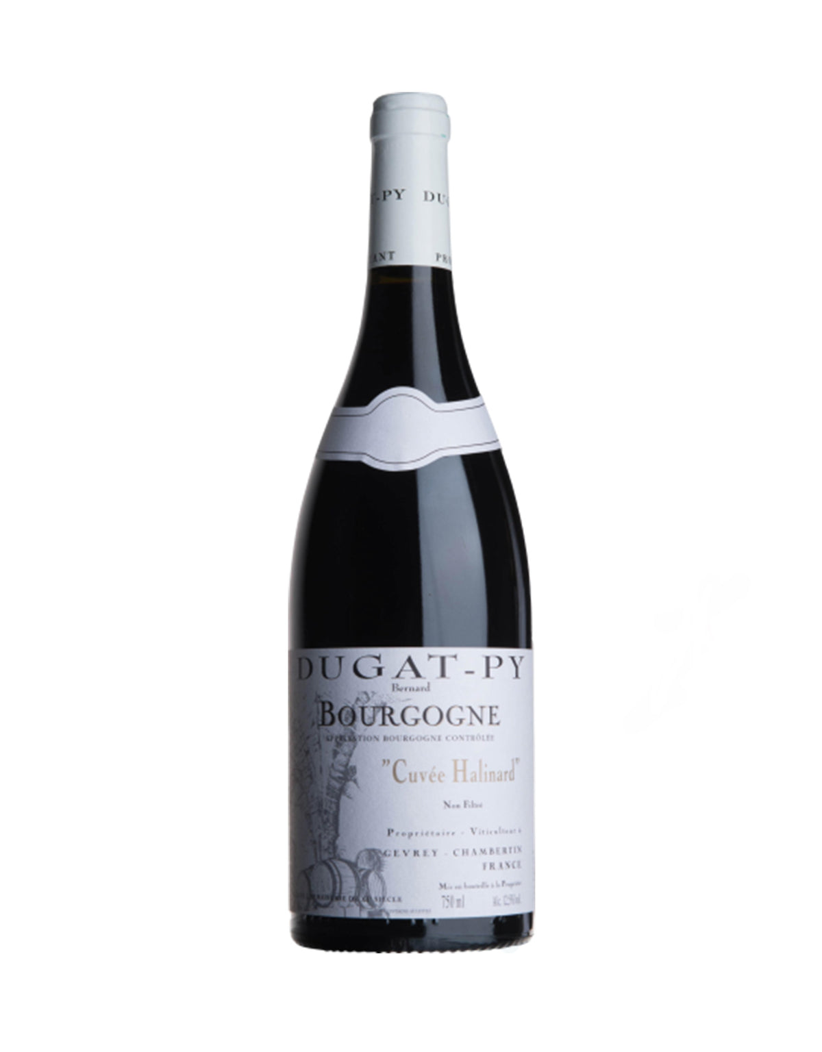 Dugat Py Bourgogne Rouge 2020 - ZYN THE WINE MARKET LTD.