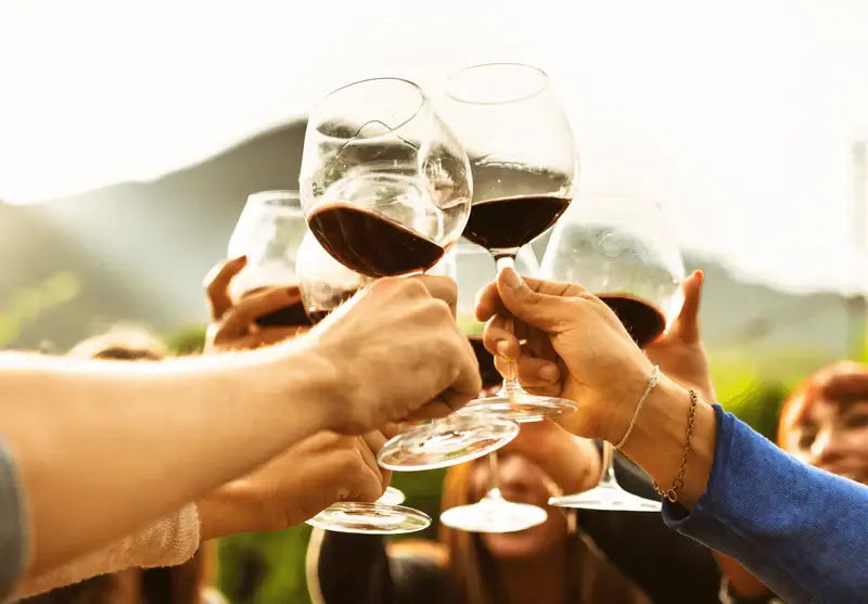 ZYN THE WINE MARKET LTD.