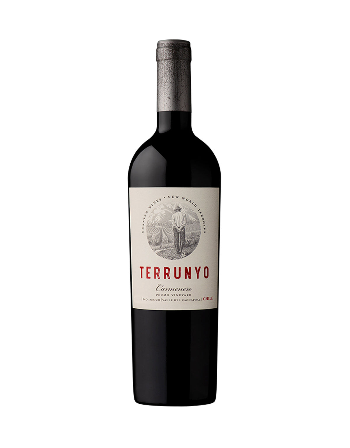 Terrunyo Block 27 Carmenere 2023