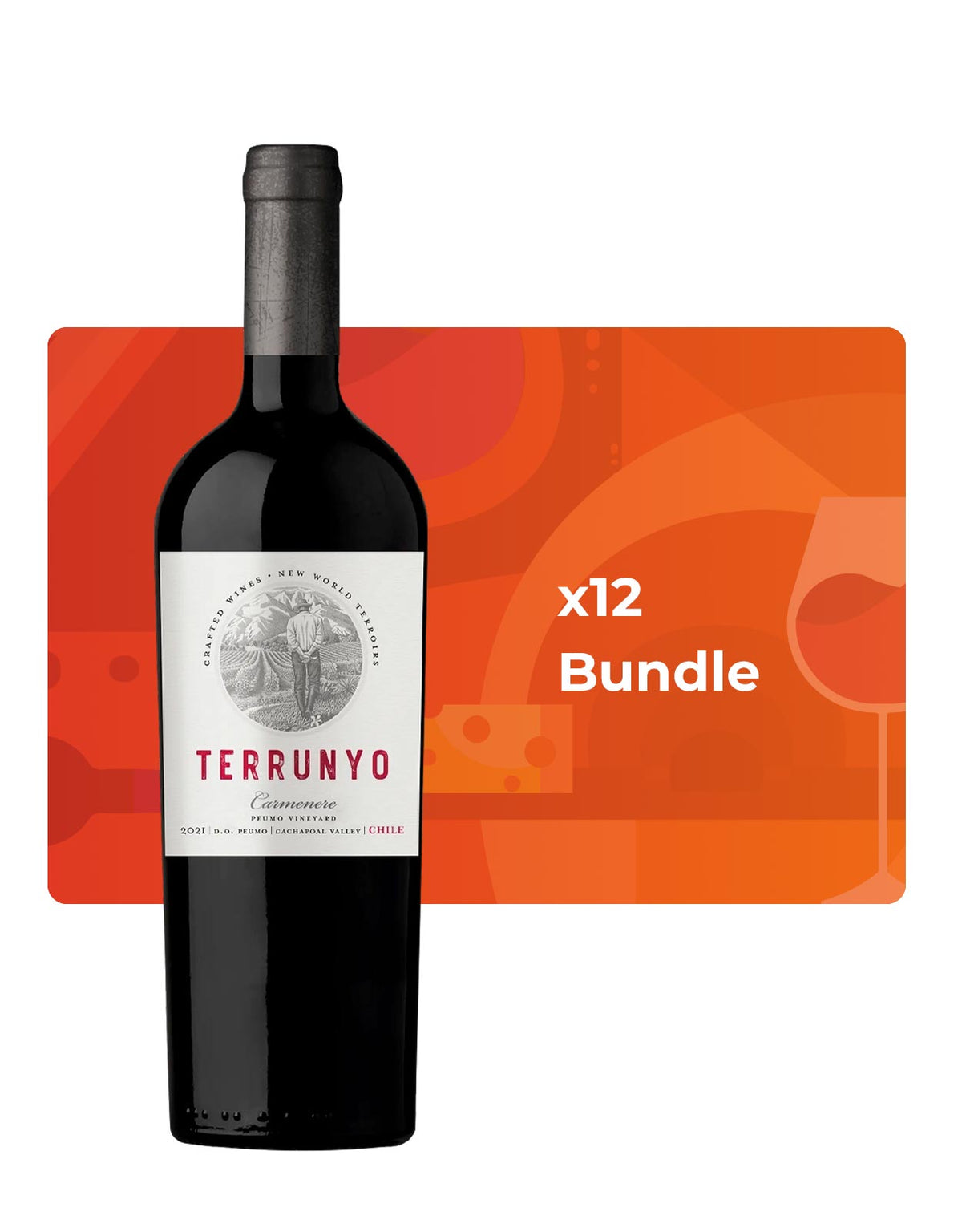 Terrunyo Cabernet Sauvignon - Bundle & Save