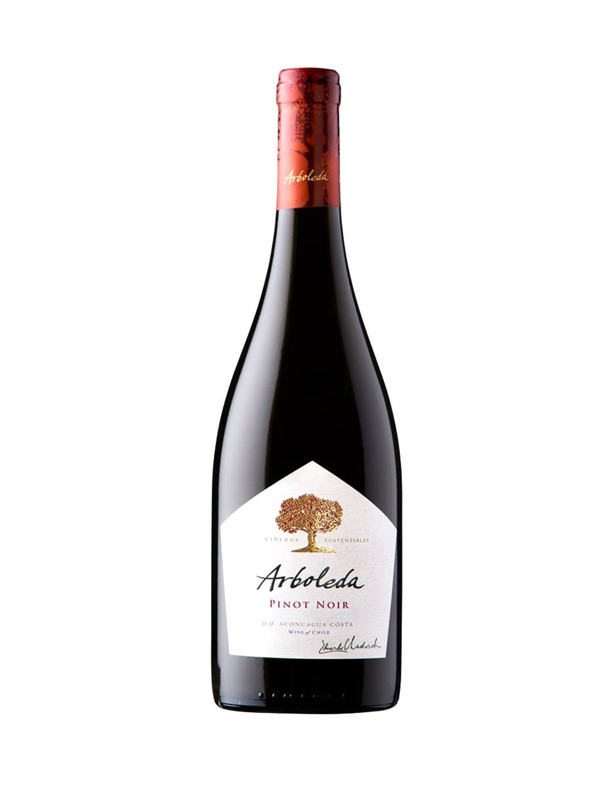 Viña Arboleda Pinot Noir 2024