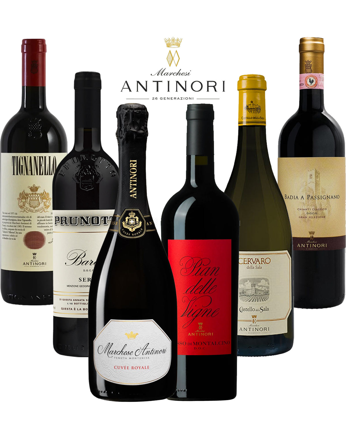 The Antinori Empire - 6 Bottles Bundled By ZYN